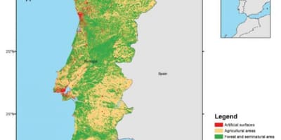 Mapa Portugalii lasu